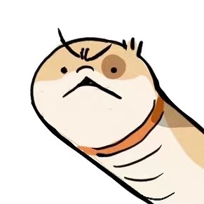 小狗蛇 tweet media