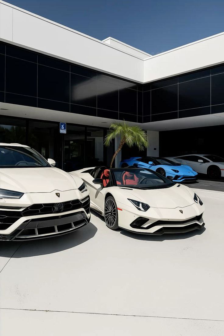 SeyVibesSZN's tweet image. Just congratulate yourself under this post, I don't know why, before Dec,31 but do it with faith ❤️🍾🍀