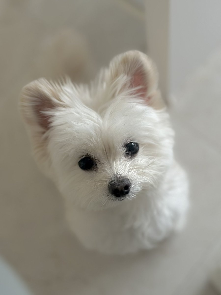 재택근무 중인데 옆에서 이러시면..