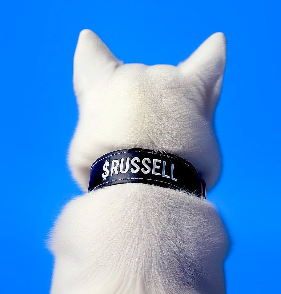 Dear <a href="/jessepollak/">jesse.base.eth</a>,
dear <a href="/brian_armstrong/">Brian Armstrong</a>,

you have the opportunity here to make something absolutely incredible. The CTO team including <a href="/KatAngelica2/">kat.base.eth</a> been putting so much work to make the little guy a success story.

WE need this so much. For everyone on Base, for every person