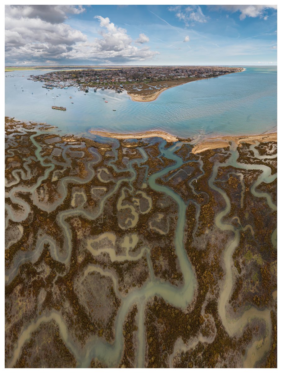 2025 Virtual Advent Calendar. 
Day 19: