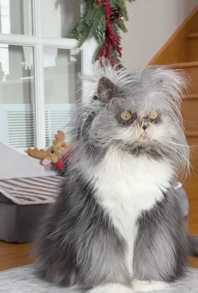 Я 1го января)