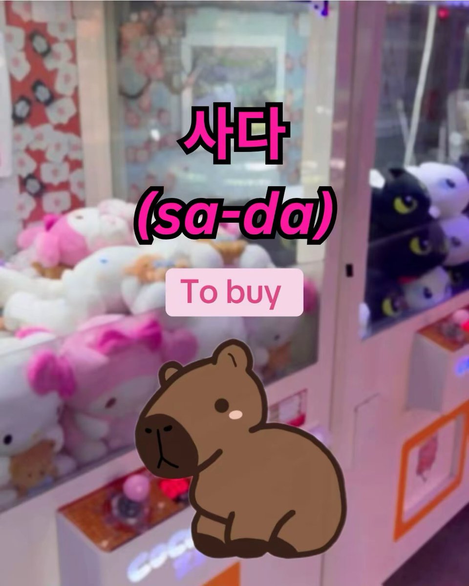 Capylanguage tweet media