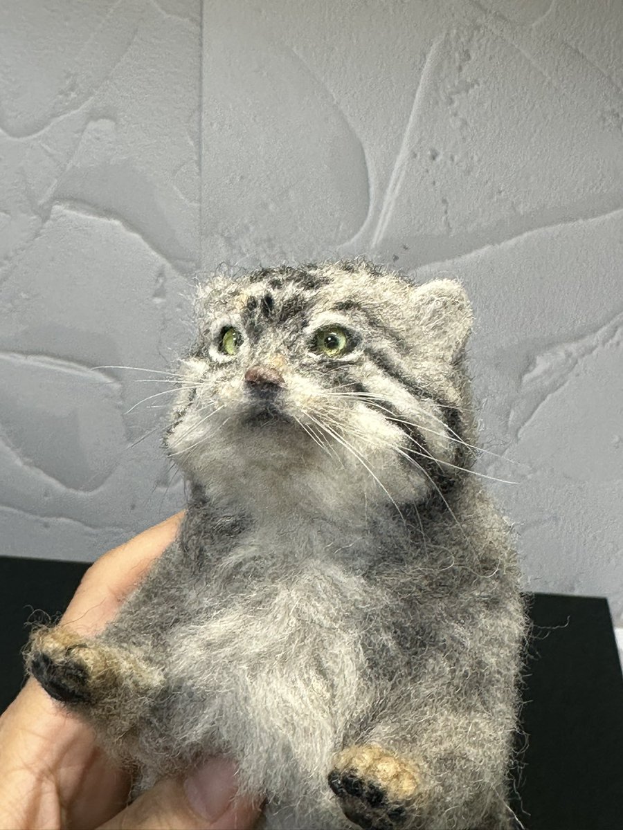 Hiroko@羊毛フェルト (@Hiroko_NeFe) / Posts / X