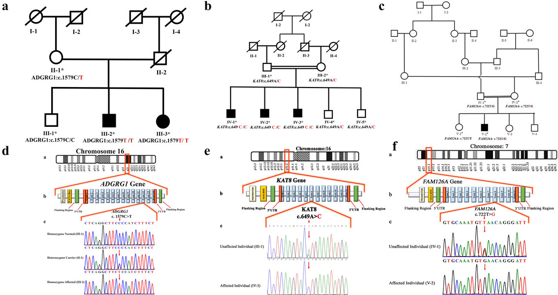 Editor, Annals of Human Genetics tweet media