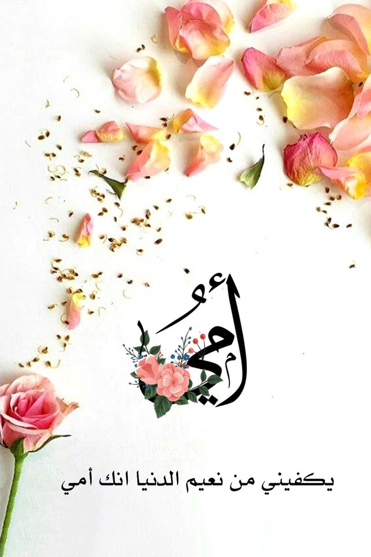 آ̯͡ل̯͡ف̯͡ـخ̯͡آ̯͡م̯͡ـة💕 حۣۗسۣۗآمۣۗ آلَغۣۗآمۗديۣۗ tweet media