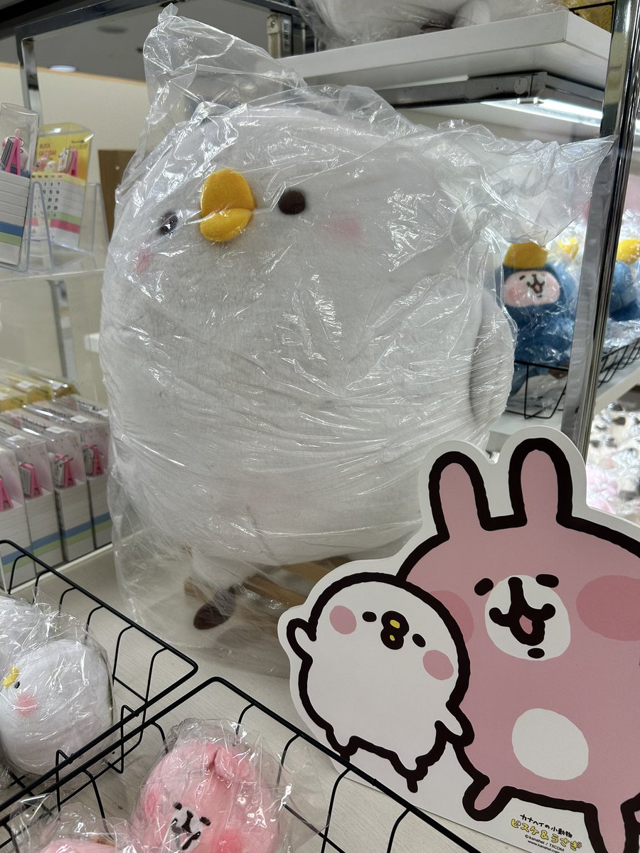 ピスケのすけ (@piskenosuke) / Posts / X