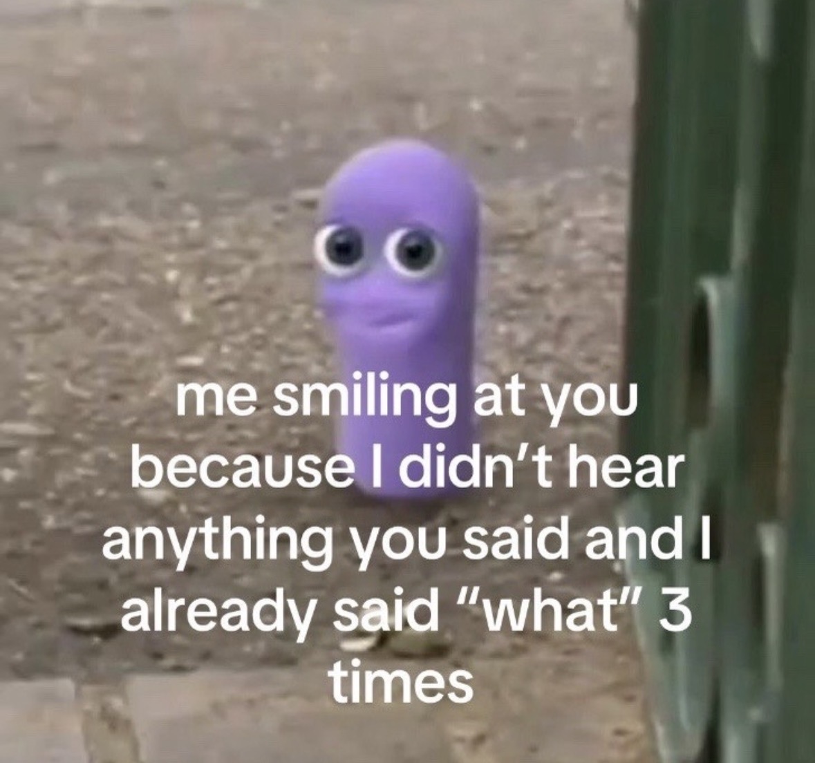 raccoon aesthetic. tweet media