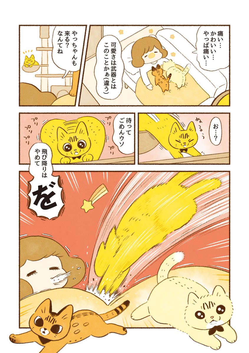 🐱の漫画①
おててが強い話