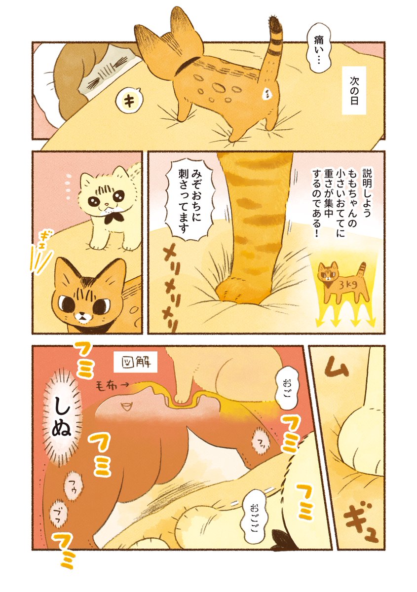 🐱の漫画①
おててが強い話 