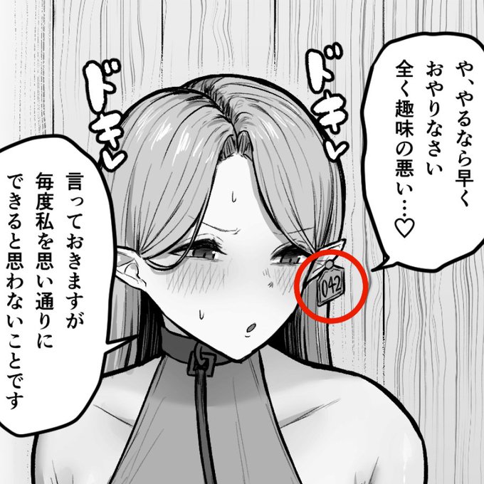 このエルフ達の耳の札は奴隷としての管理番号(捕まった順)って設定なんですけど、人間年齢で換算した場合の歳でもあります。 