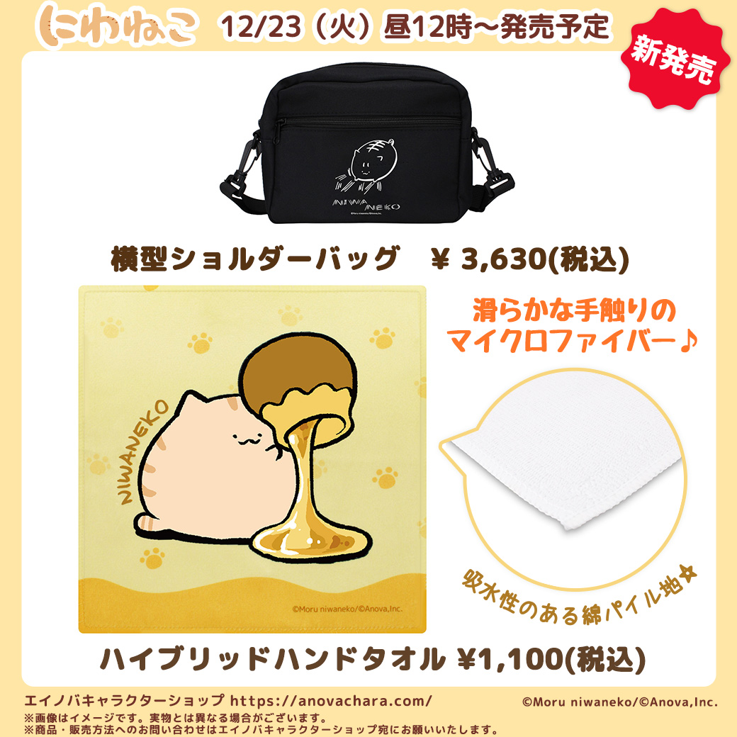 庭猫もる (@mogeyamamolx) / Posts / X