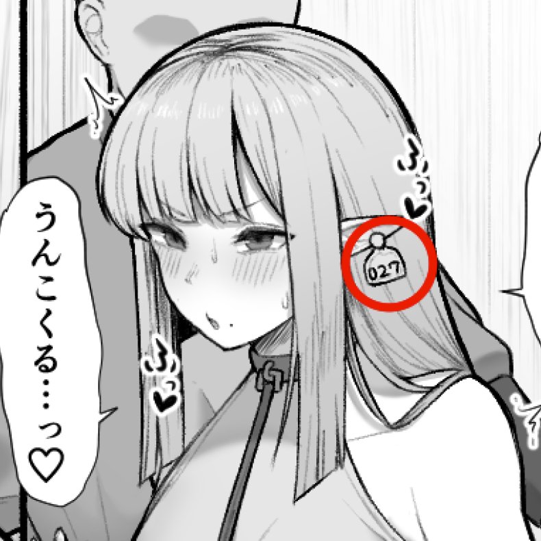 このエルフ達の耳の札は奴隷としての管理番号(捕まった順)って設定なんですけど、人間年齢で換算した場合の歳でもあります。 