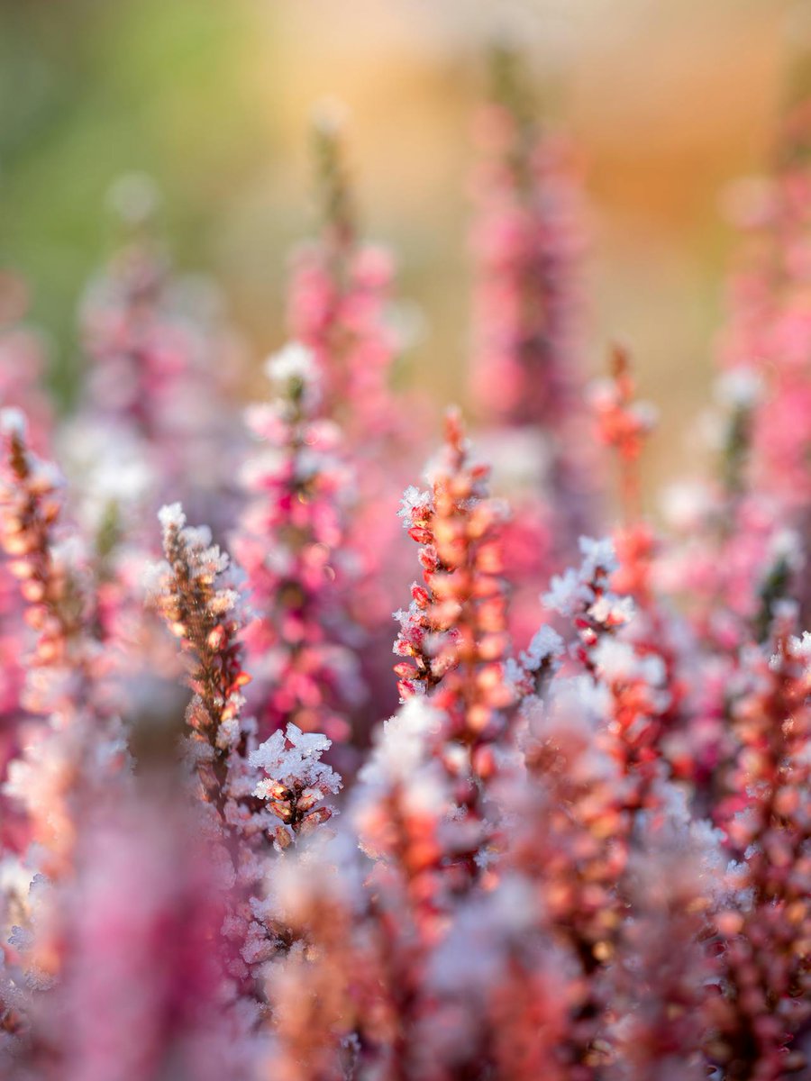 Your emotions don’t come out of nowhere; they follow thoughts. #PositiveThinking