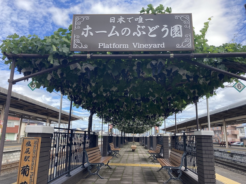 塩尻市観光情報〈公式〉 tweet media