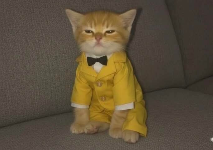 Animalesaprieto's tweet image. Yo el 31 de diciembre todo el día para atraer dinero: