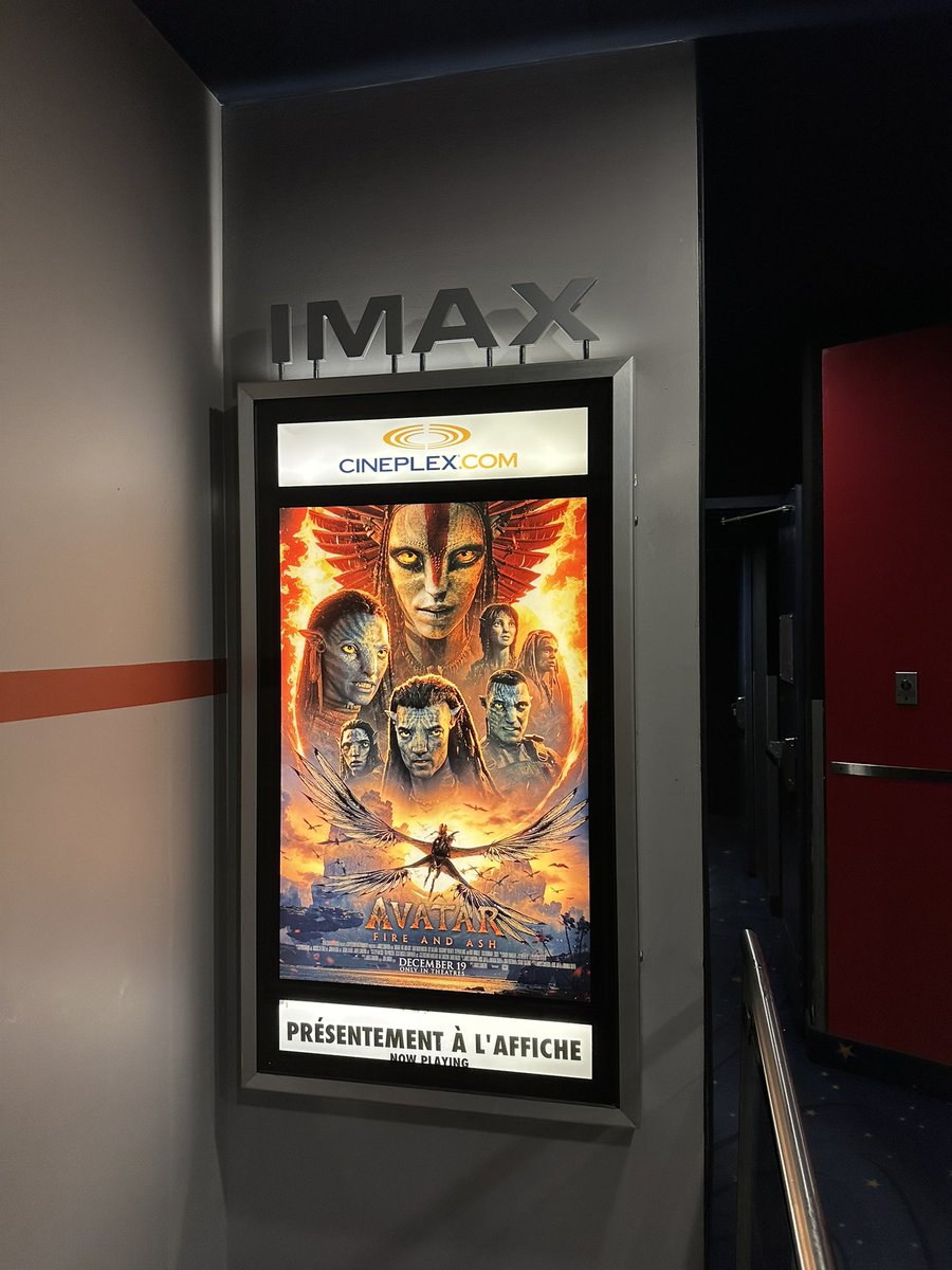 Bora Bora tweet media