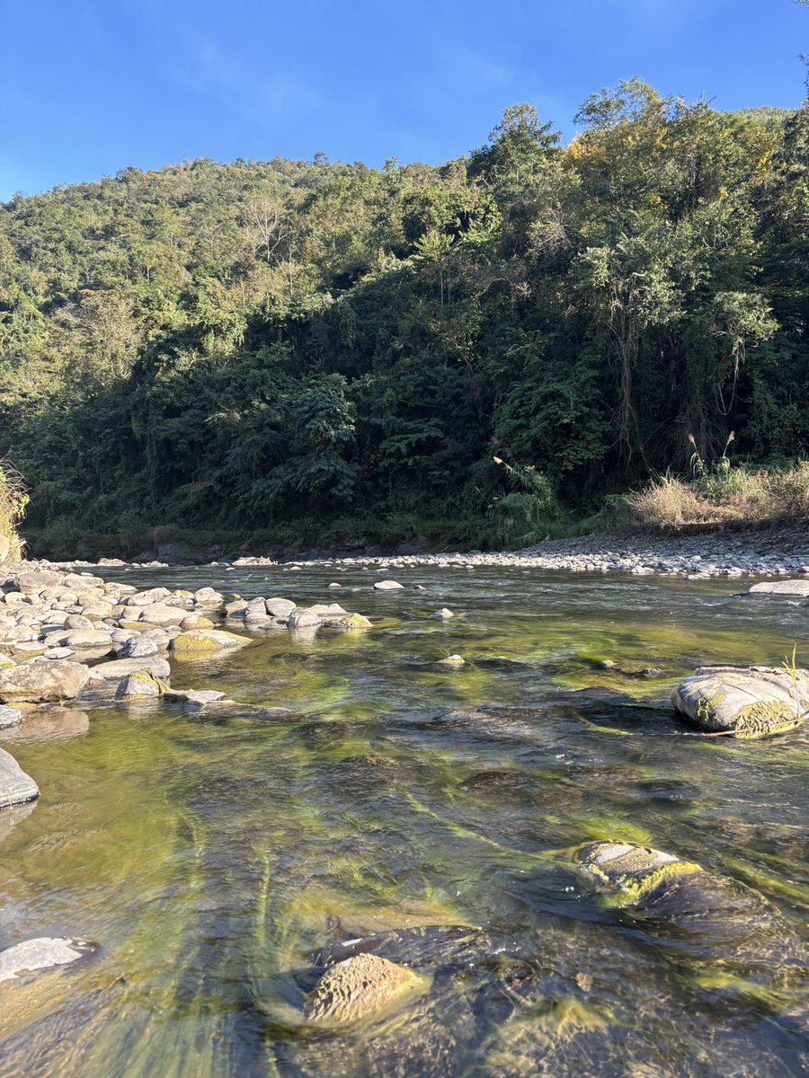 khopemekrisuh's tweet photo. Life in the bosti: mountains, beautiful sunrises, the river, and cosy moments. #losami #phek #Nagaland https://t.co/0h7aqm1xxZ
