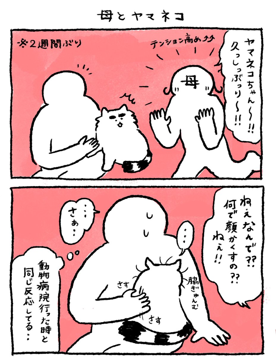 ヤマネコ (@ymnc_rf) / Highlights / X