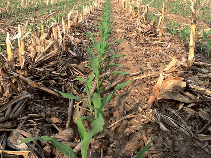 Gavin Spoor tweet media