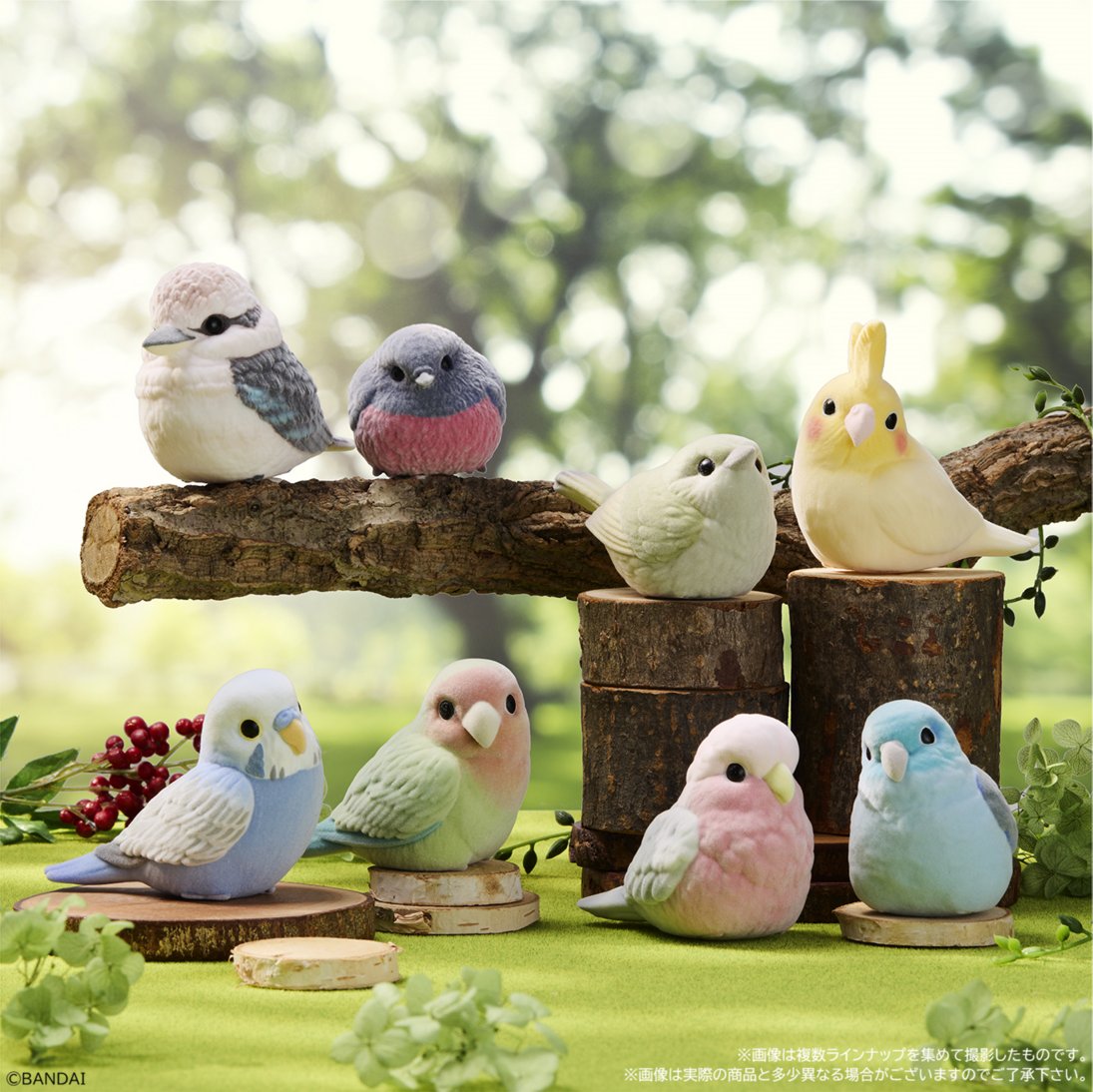 大人買い、予約完了。