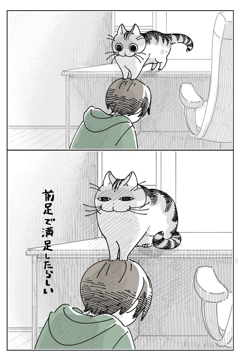 きゅきゅページ ヴェスパローゼ】デッキの回し方｜Z/X（ゼクス） | エンジョイできる