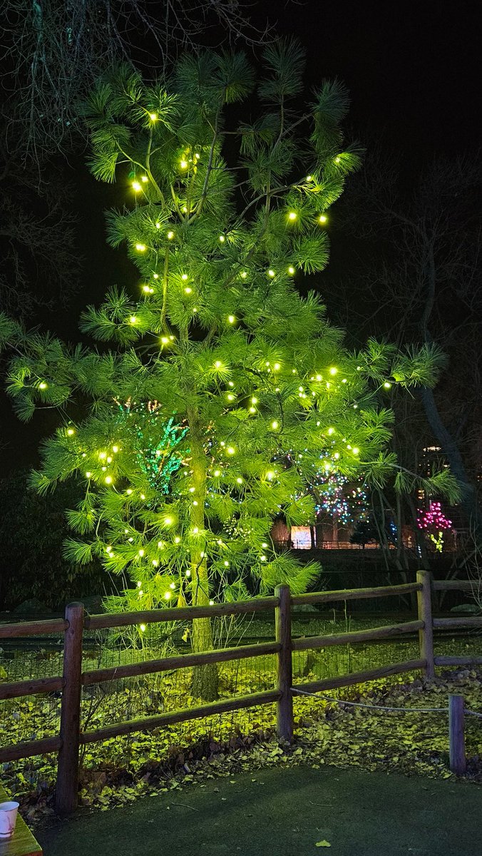 Good night 😴 
Sleep well 💤 
See ya tomorrow 👋🏻