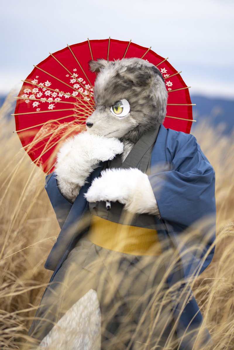 紅
#こいと写真館
#FursuitFriday