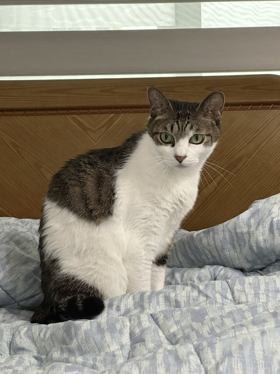 귀염둥 잘 지내고 있어