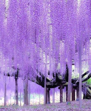 memorykills17's tweet image. やっほー ねむい…けど新作スイーツ食べたい🍰！ 😴 🤓