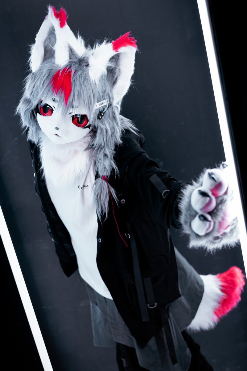 카이파 tweet media