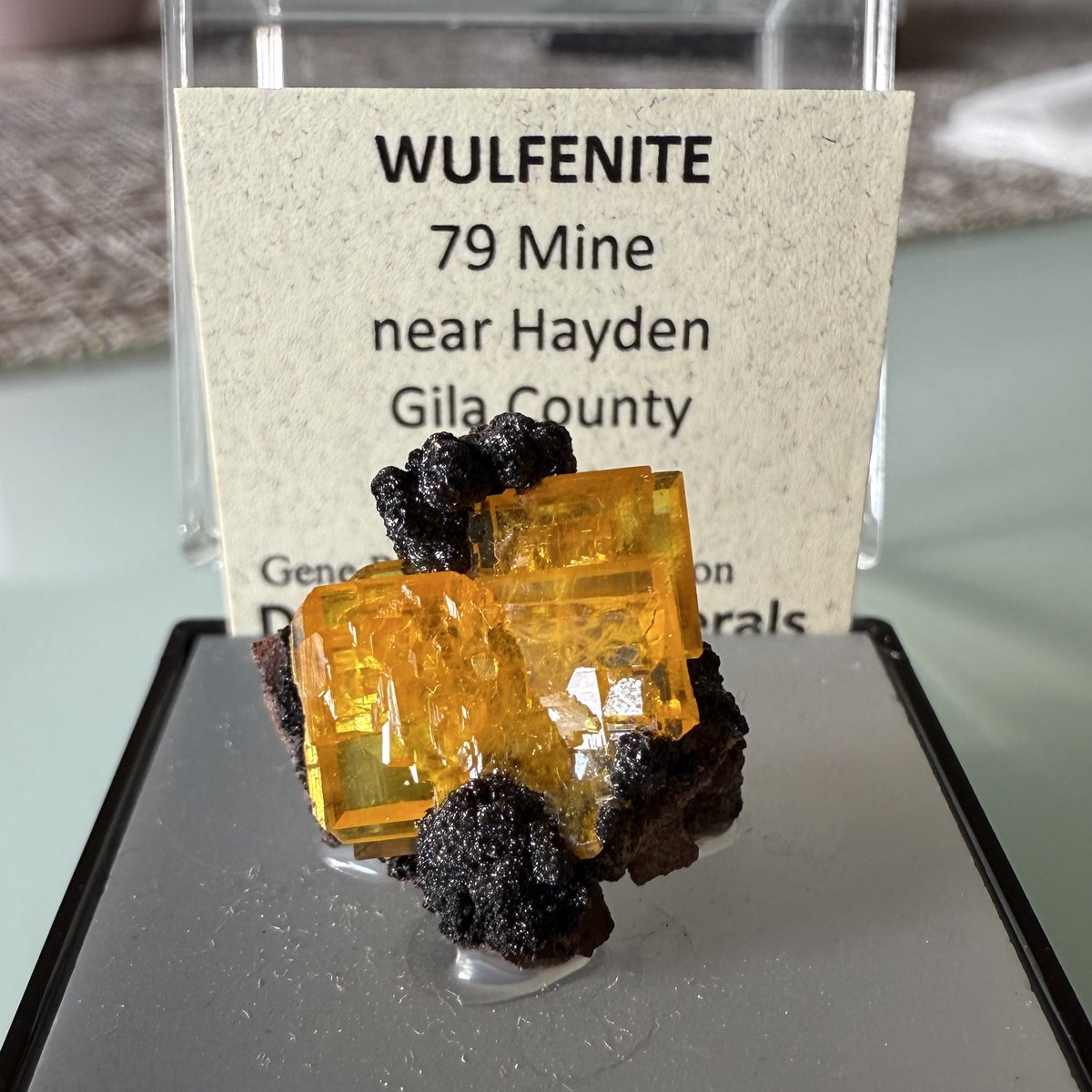 ウルフェナイト 79mine near Hayden, Gila County, Arizona USA #池袋