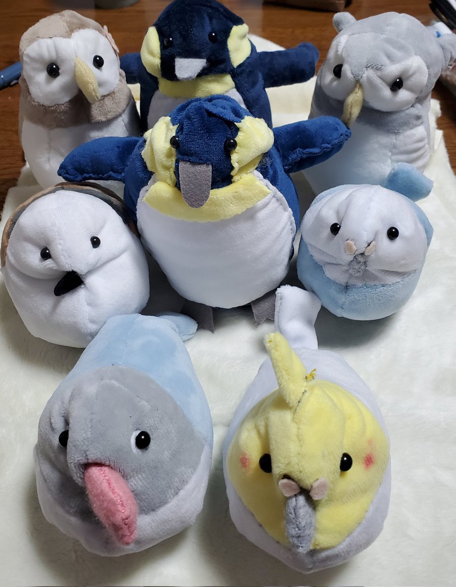 ばんばぱえりあ＠新著『ことりのぬいぐるみ』 (@banmof) / Posts / X