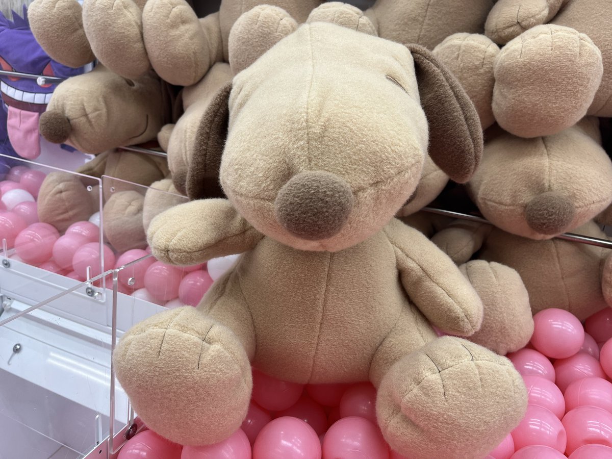 ✨️✨新景品入荷情報✨✨ #SNOOPY?スーパーラージぬいぐるみ もこふわ