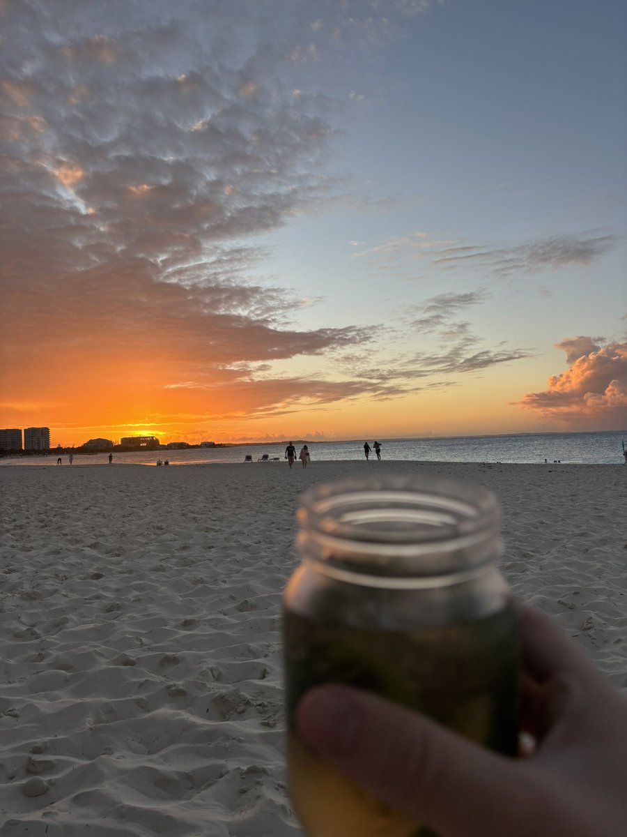 Chuck mankowski tweet media