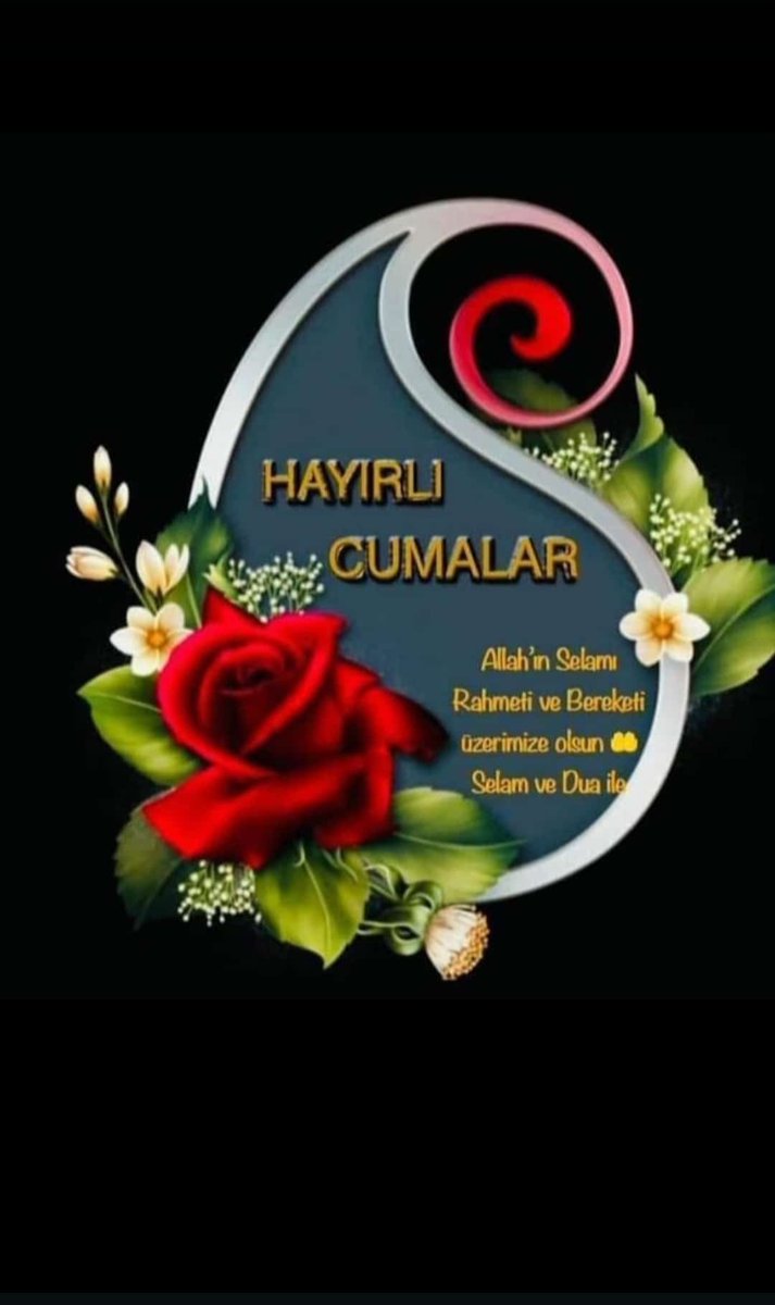 capanoglu_sedat's tweet photo. https://t.co/GssLun1C55