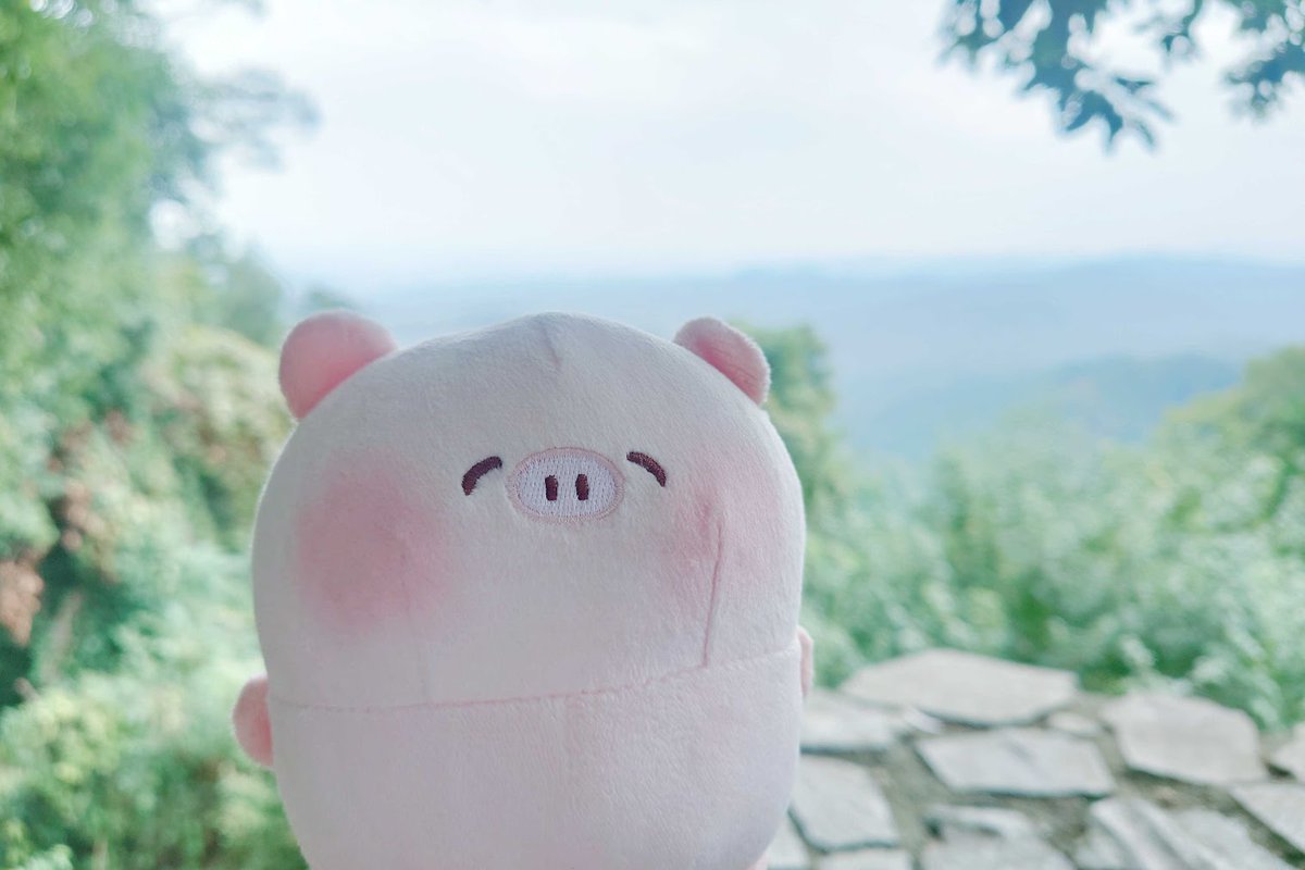 やまびこ⛰️՞•Ꙫ• ՞ #ぽてぽてこぶたちゃん