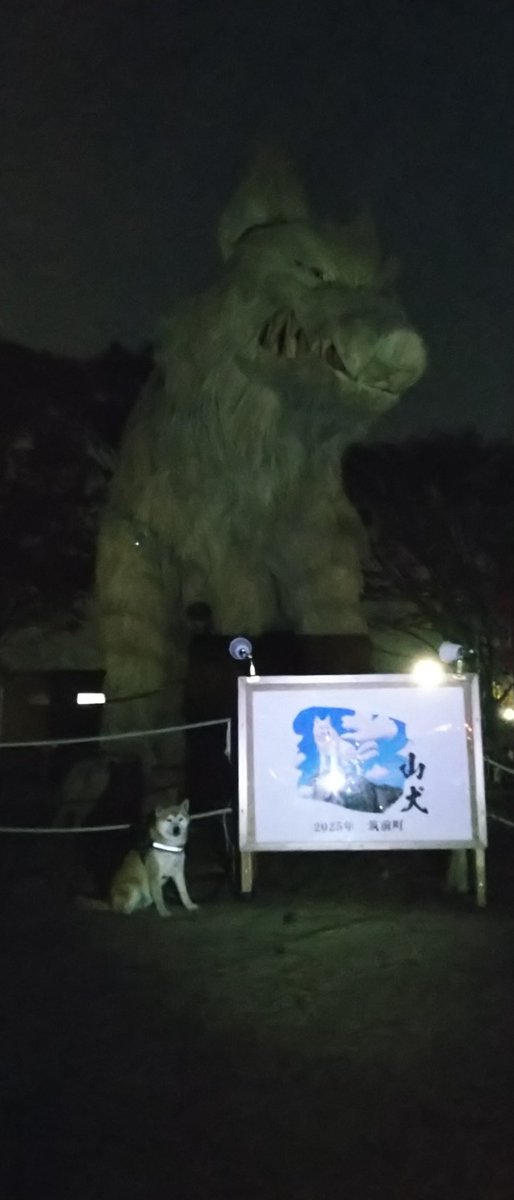 ryuumakun's tweet photo. @SSKK382159 先日行って来ました。
安の里公園
5のつく日のみライトアップするらしく、平日夕方過ぎてしまい既に真っ暗でした
でも、本当に凄く迫力満点✨ https://t.co/wI7bgH2Hb3
