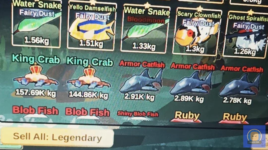 Roblox Fess tweet media