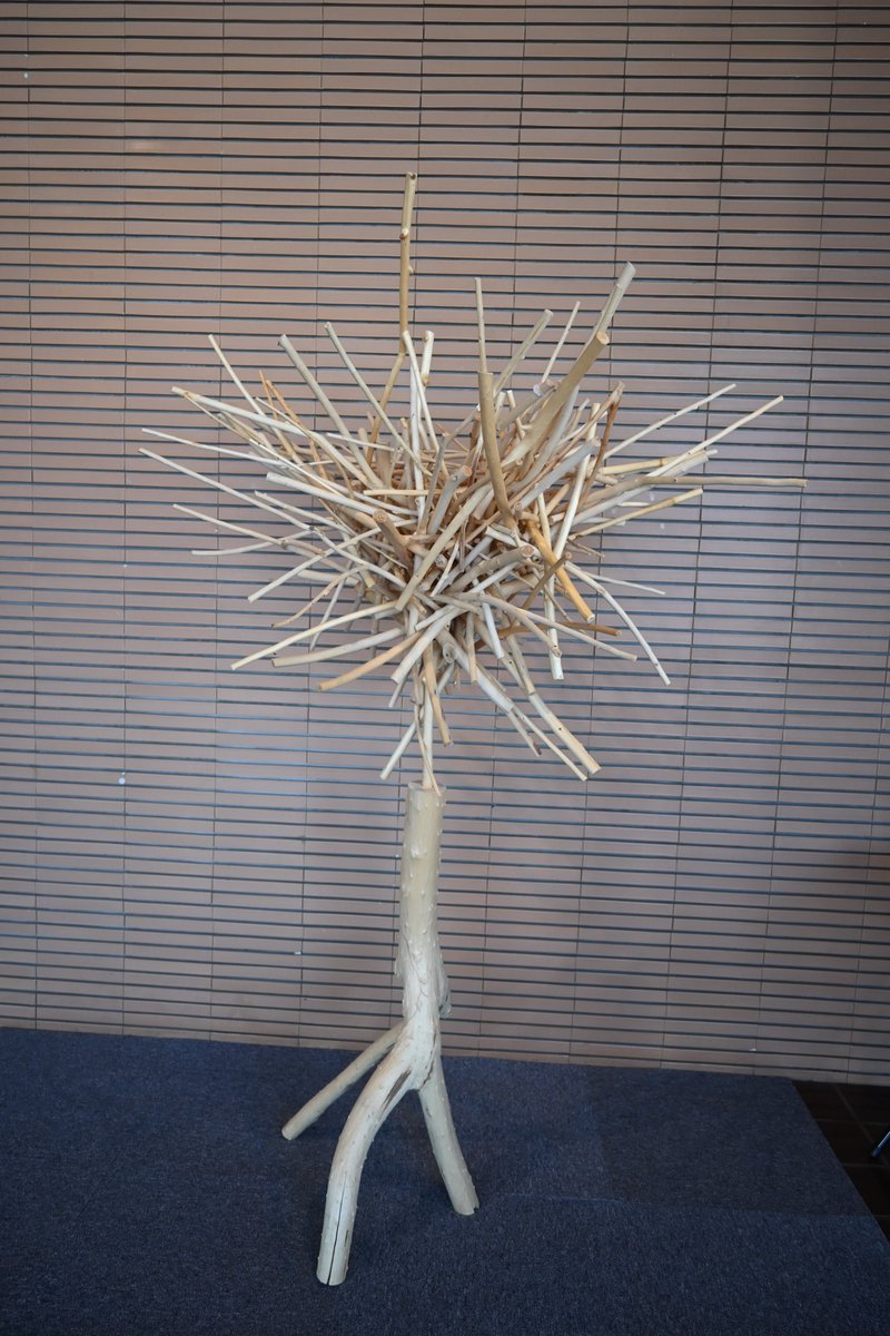 【#今日の樹華】
6日目。
全体的にやや横に広がり、上にのびる長い枝がアクセントになっています。

#旭川美術館　#砂澤ビッキ