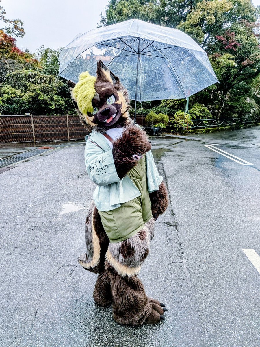 #2025年ももう終わるので引用RTで私の印象や思い出などを語ってください
🙇💚