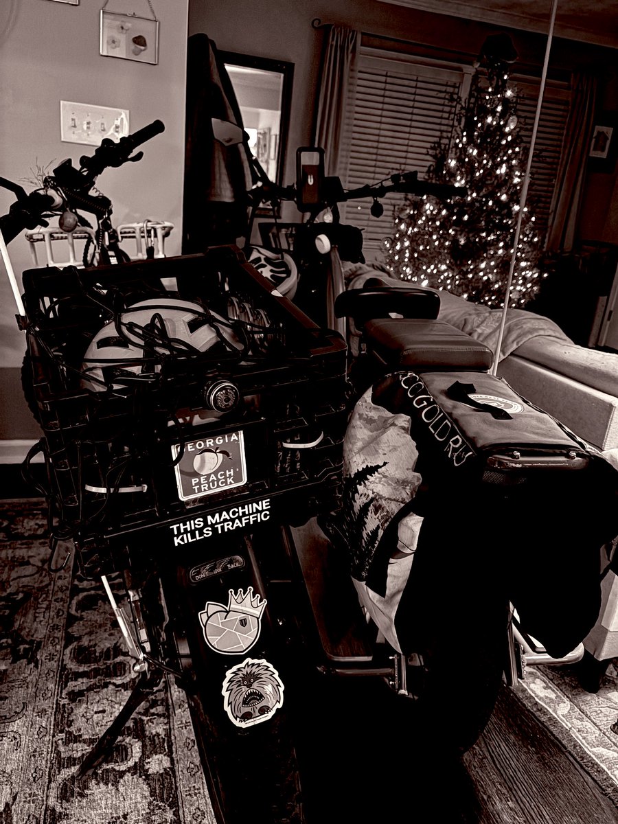 🌳Happy Trees 🌳 (@rumsprnga) on Twitter photo 