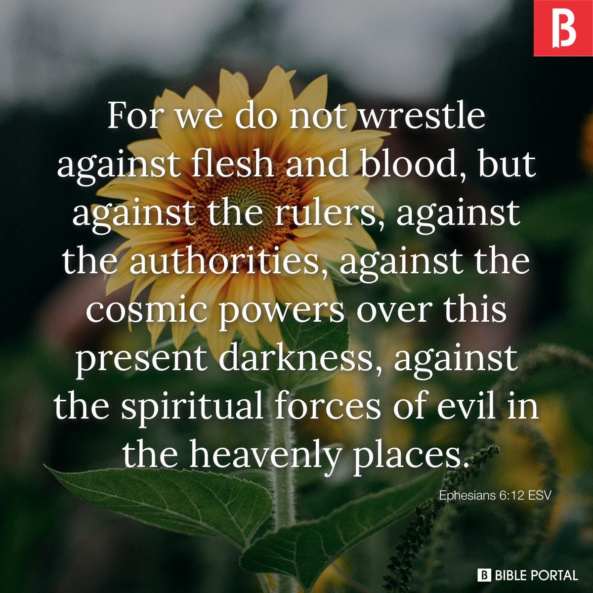 For we do not wrestle against flesh and blood, but against the rulers, against the authorities, against the cosmic powers over this present darkness, against the spiritual forces of evil in the heavenly places.