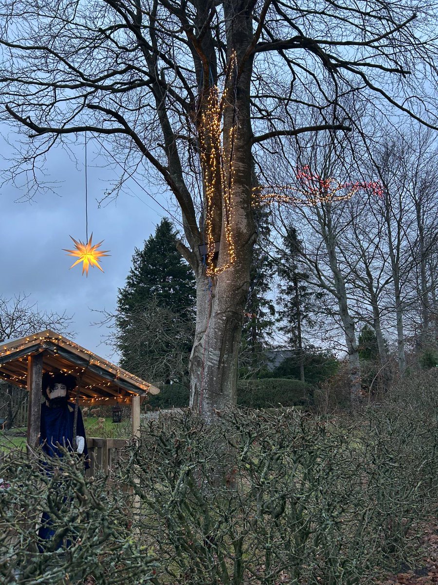 An early early early Good morning😬😊✨️🎄