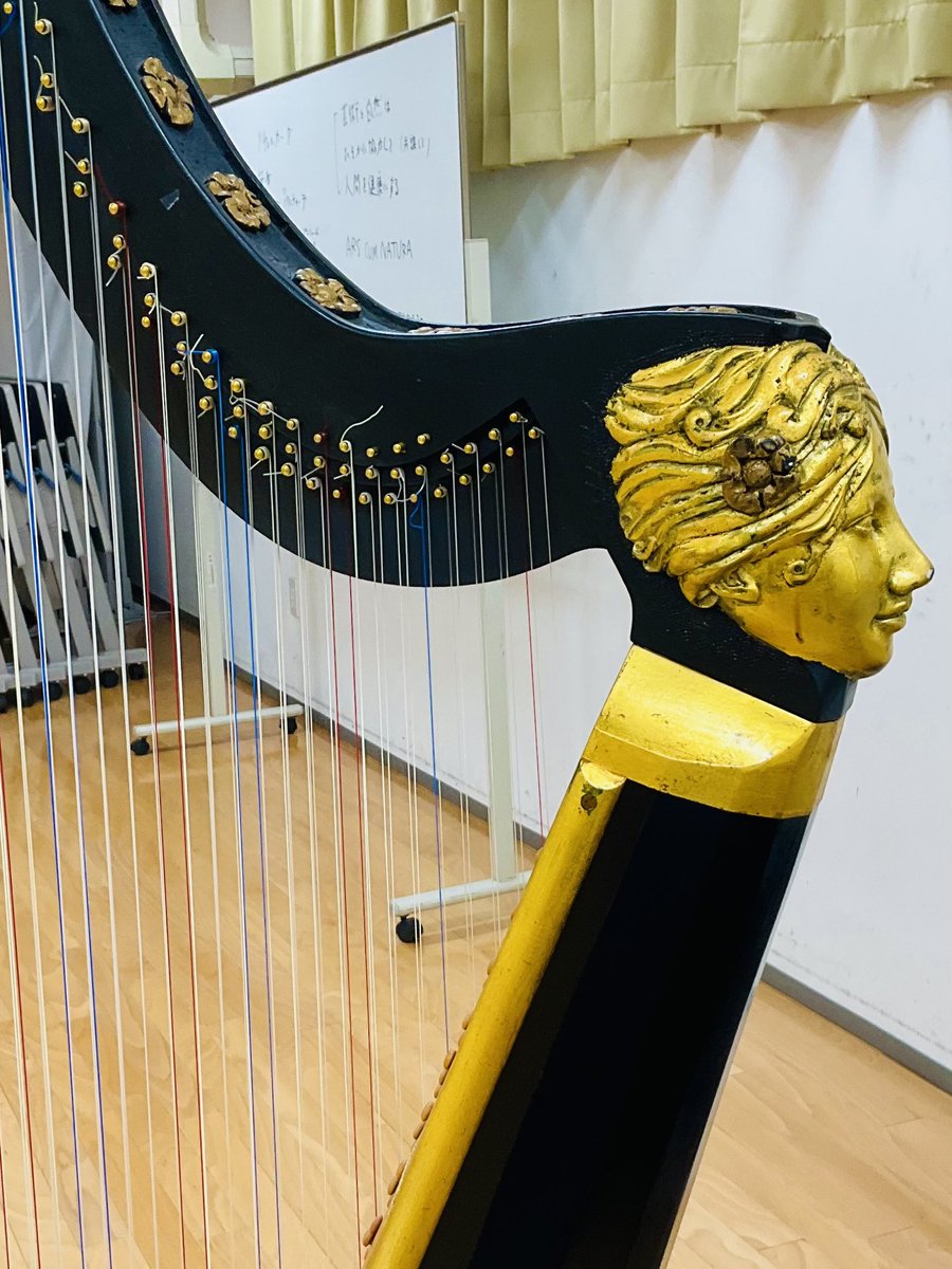 渋川美香里 (@mikariarpa) / Posts / X