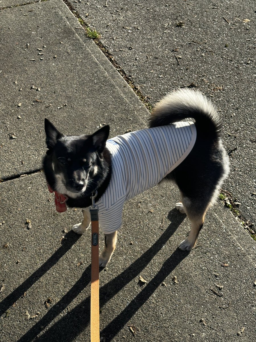 우리 아기 내복핏 죽인다