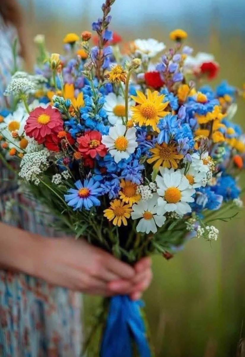 Günaydın
Hayırlı Cumalar🦋