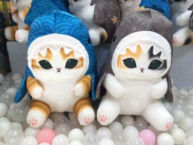 プライズ】新景品入荷！！ #mofusand サメにゃん～和～BIGぬいぐるみ