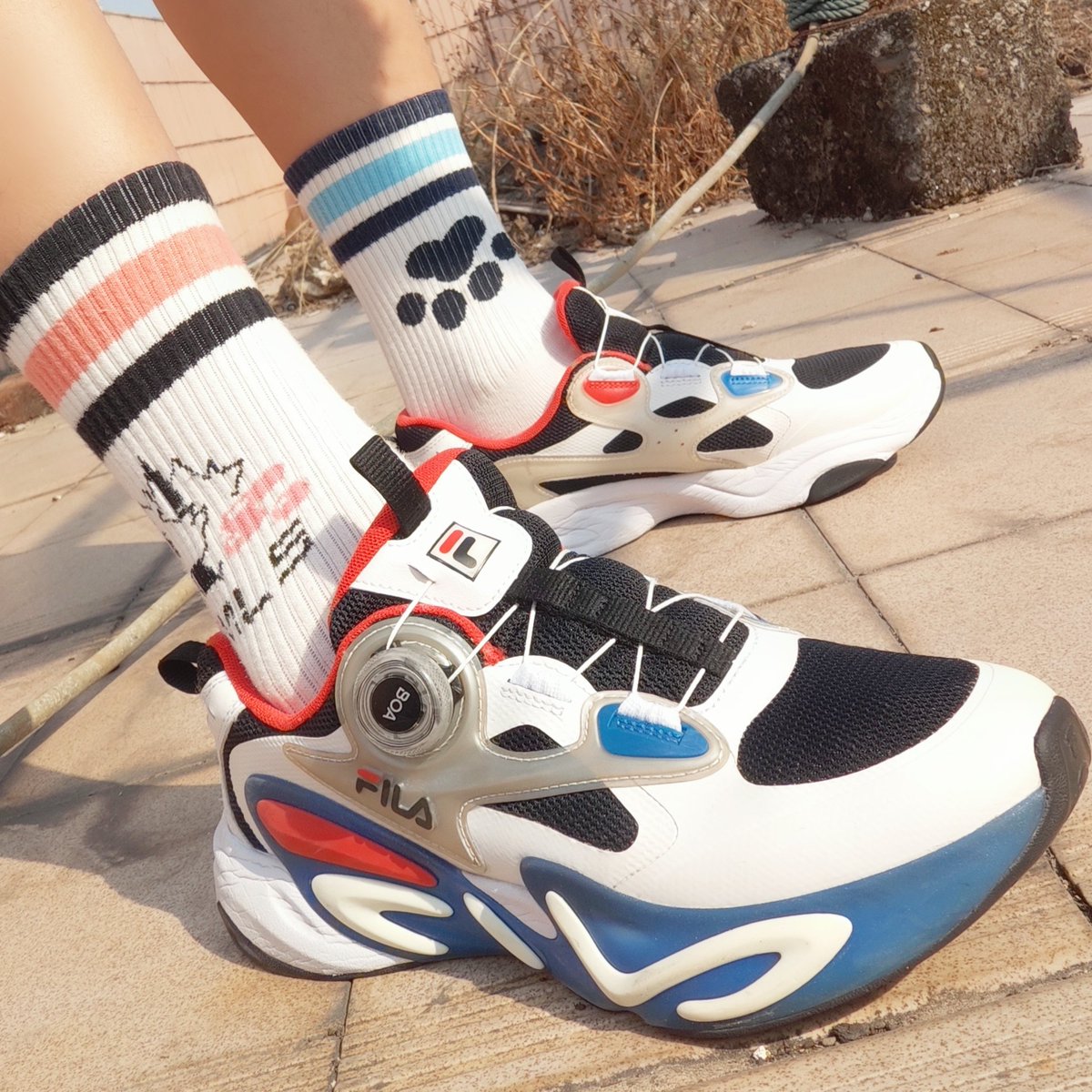 小雪豹星仔🐾 tweet media