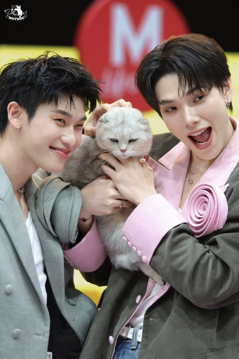 เองงี้เลยนะคะ 
ถ้าทวิตน้องออฟโรดกลับมา 
แม่ๆนับดาวสายลับ
ขอแจก 600 บาท 3 คนคนล่ะ 200 นะคะ  ( รี เฟบ เฉพาะดว ดน  นด )